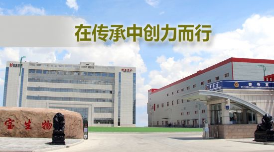 在传承中创力而行 BB贝博艾弗森生物被授予“内蒙古老字号”称号